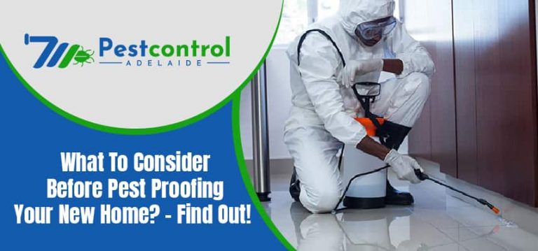 What To Consider Before Pest Proofing Your New Home?